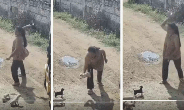 viral-video-woman-throws-two-puppies-against-wall-in-anger-at-neighbor