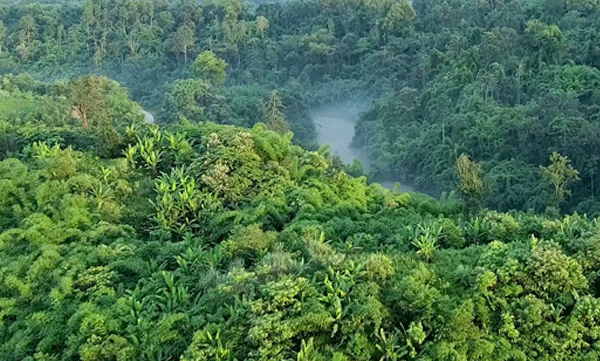 no-time-week-month-or-year-amondawa-tribe-amazon-rainforest-