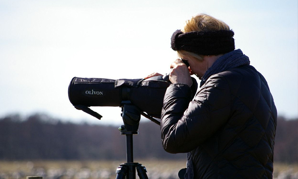 this-hobby-may-increase-brain-function-and-attention