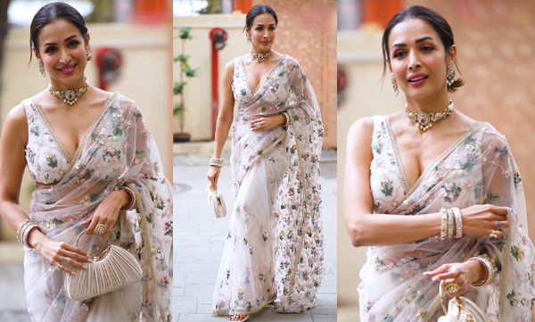 Malaika Arora attends Kritika Kamra and Gaurav Kapur's wedding reception 