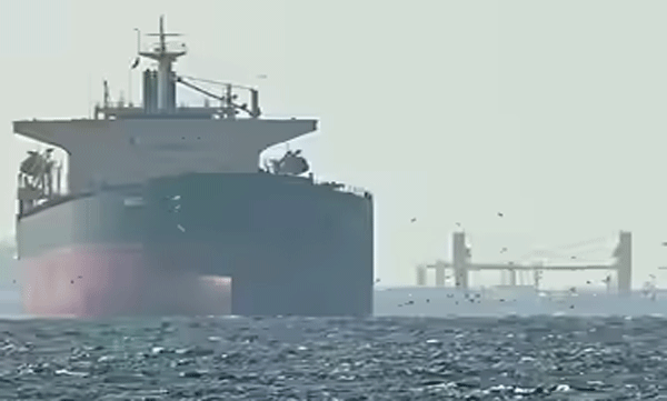 indian cargo ships-allowed-to pass-through-strait-of-hormuz