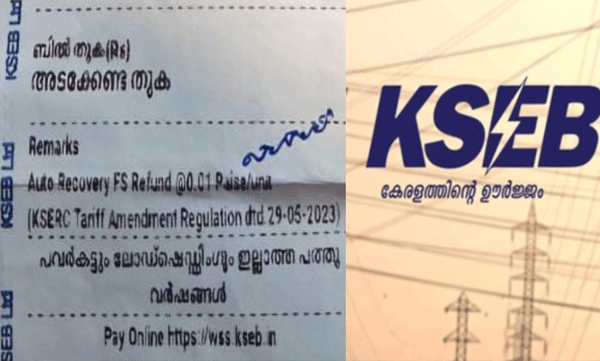 ldf-advertisement-in-electricity-bill