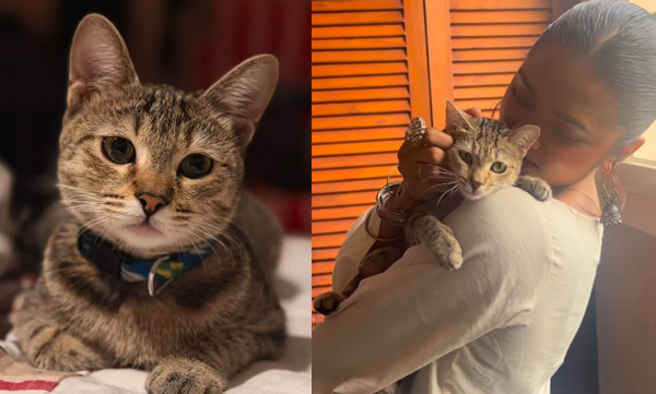 prarthana-indrajith-shared-an-emotional-post-that-she-lost-her-pet