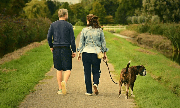 lifestyle-of-bengaluru-couple-who-raise-pet-dogs-like-children-goes-viral