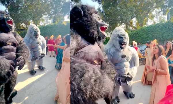 Gorilla dance in indian wedding became the new trend 