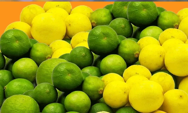 lemon-prices-skyrocket-in-kerala-amidst-heatwave