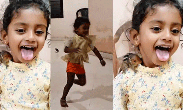 there-was-no-escape-a-baby-squirrel-chased-little-girl