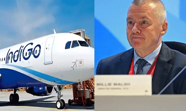 willie-walsh-appointed-indigo-ceo-cnnqxvae