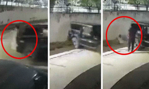 viral-video-70-year-old-woman-dies-after-being-grandsons-parking-error