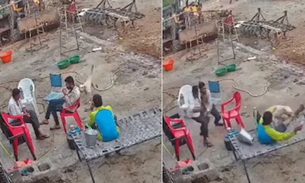 stray-dog-bites-several-people-in-30-seconds-video-of-the-attack-has-caused-pani