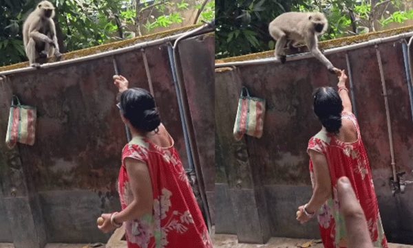 viral-video-mom-scolds-monkey-for-eating-soap-and-giving-potato-instead