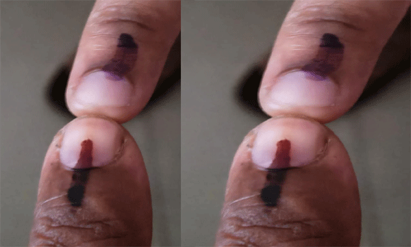 polling-officer-changed-in-mananthavady-after-complaint-voters-were-persuaded-to-vote-with-bjp-lotus-symbol