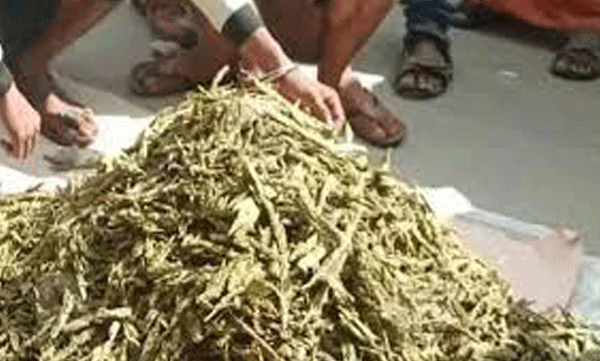 /man-arrested-with-ganja-drug-in-alappuzha