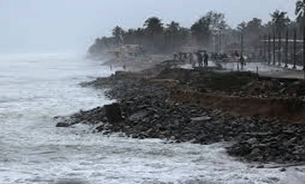 kerala-summer-rain-lashes-kochi-heavy-winds-topple-trees-in-aluva-as-heatwave-subsides
