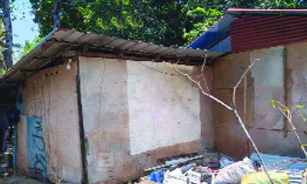 Child Dies of Snakebite; Family Lived in a Sheet-Covered Shack