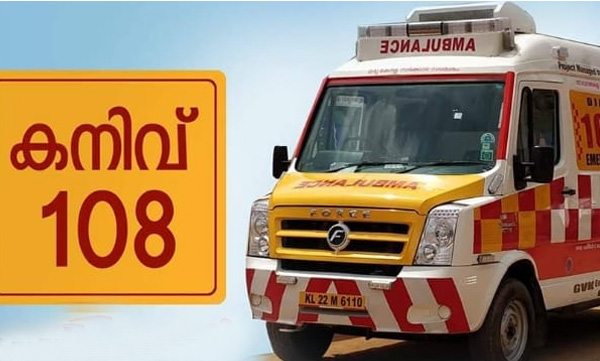 Snake bite: Don't look for hospitals with anti-snake venom; call 108 for first aid and expert treatment