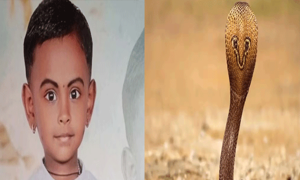 kasaragod-four-year-old-girl-child-snake-bite-death.