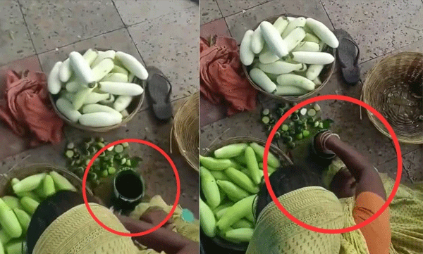 viral-video-of-women-painting-cucumbers-green-sparks-outrage-online