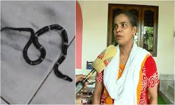snake-found-in-attached-bath-room-neighborhood-of-aljo-who-died-of-a-snakebite-