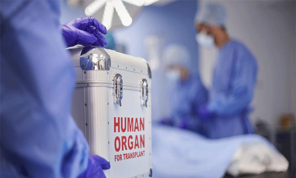 illegal-organ-trade-investigation-expands-to-3-districts-key-accused-najeeb-network-under-police-scanner
