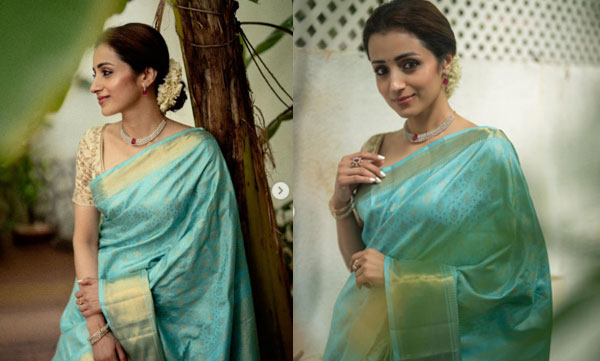 trisha-at-vijay-cm-swearing-in-ceremony-look-viral-photos