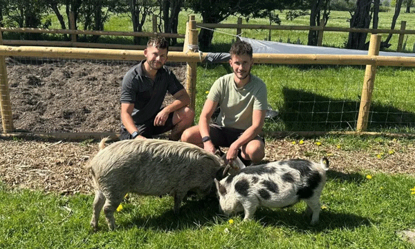 corporate-career-to-pig-farming