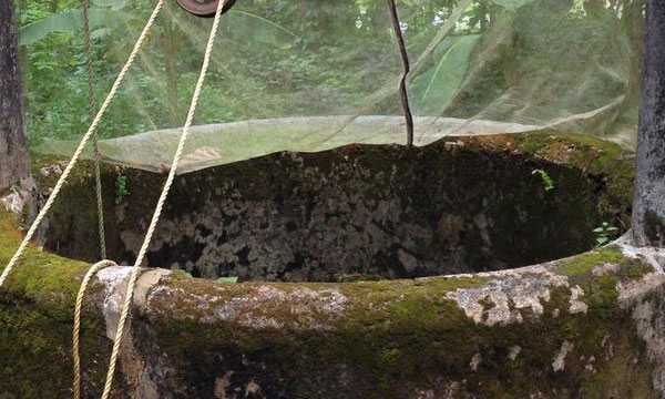 Carcasses of two dogs dumped in a well belonging to a drinking water project