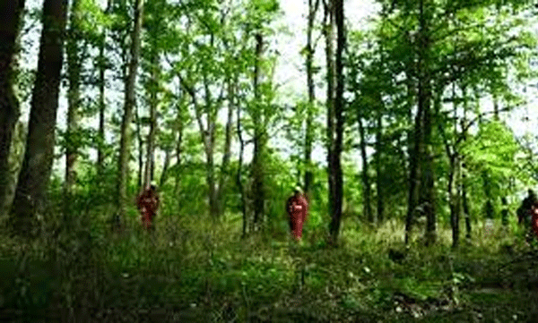 job-seeker-allegedly-missing-in-forest-search-urges-