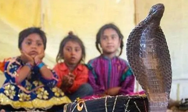 Shall go to Snake village of India