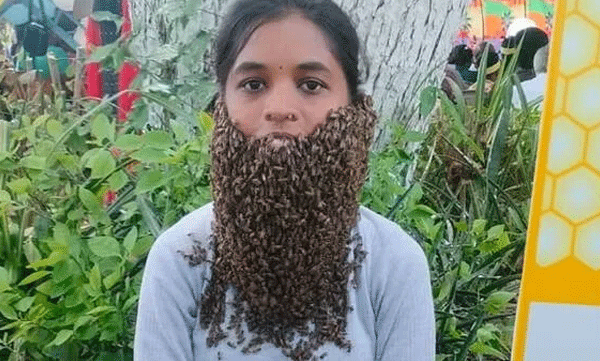 college-student-creates-a-fascinating-spectacle-on-world-bee-day