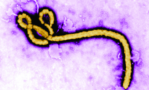 It's a relief that Ebola won't spread quickly.