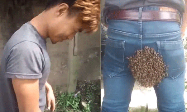 പാന്റിന് പുറകില് കൂടുകൂട്ടി തേനീച്ചകള്: 30 മിനിട്ടോളം അനങ്ങാതെ നിന്ന് 30 മിനിറ്റ്