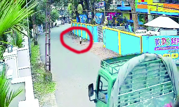 പ്രീ സ്കൂളിന്റെ തുറന്നുകിടന്ന ഗേറ്റിലൂടെ രണ്ടരവയസുകാരന് റോഡിലേക്കിറങ്ങി