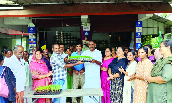 പുഷ്‌പ കൃഷിക്കായി ബെന്തി തൈകള്‍ വിതരണം നടത്തി