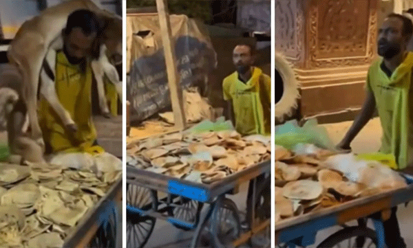 ഇങ്ങനെയും ചില മനുഷ്യര്! തെരുവ് പശുക്കളുടെ പട്ടിണിയകറ്റാന് വീടുവിടാന്തരം കയറിയിറങ്ങി യുവാവ്, മനംനിറഞ്ഞ് നെറ്റീസണ്സ്