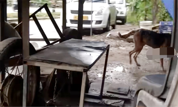 തട്ടുകടയില്‍ ചോരക്കുഞ്ഞിനെ ഉപേക്ഷിച്ചു; അമ്മയെ പോലീസ്‌ കണ്ടെത്തി. ഒപ്പം നാടകം കളിച്ച 'രക്ഷിതാവിനെയും'