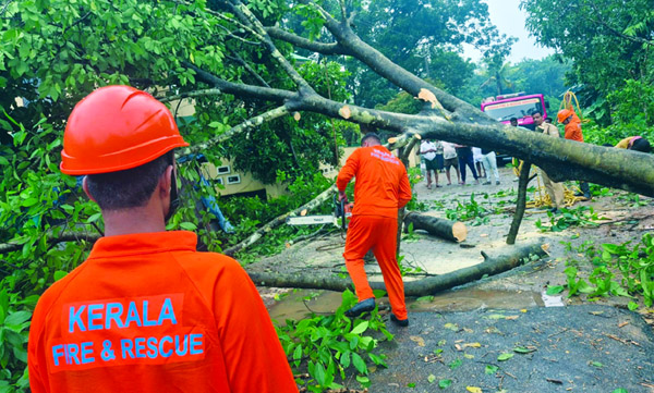 കാറ്റിലും മഴയിലും മരം വീണ്‌ 
ഗതാഗതം തടസ്സപ്പെട്ടു