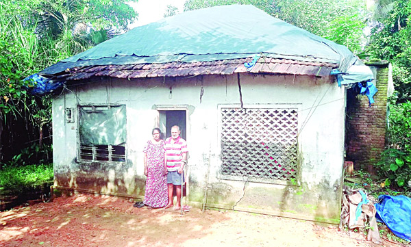 'നല്ല ഒരു മഴയും കാറ്റും, ഞങ്ങള്‍  
ഈ ഭൂമുഖത്ത്‌ ഉണ്ടാകില്ല!'
