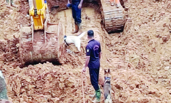 കള്ളാടി മണ്ണിടിച്ചില്‍: ഹിമാചല്‍ സ്വദേശിക്കായി തെരച്ചില്‍